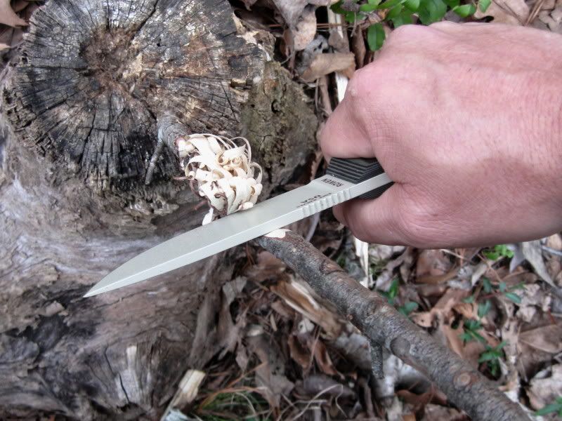 Custom ESEE Scales Form TheKnifeConnection